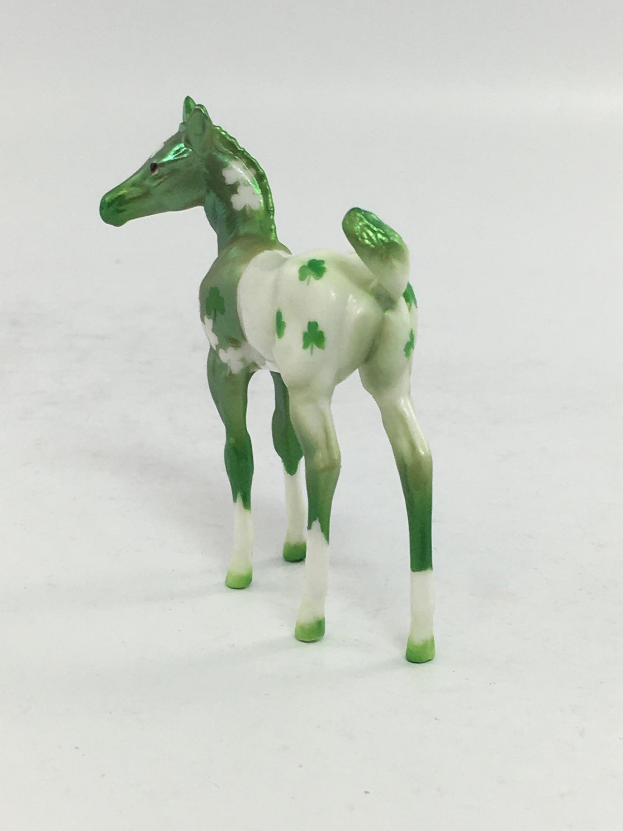 LIMERICK FOAL CHIP 2/8/18