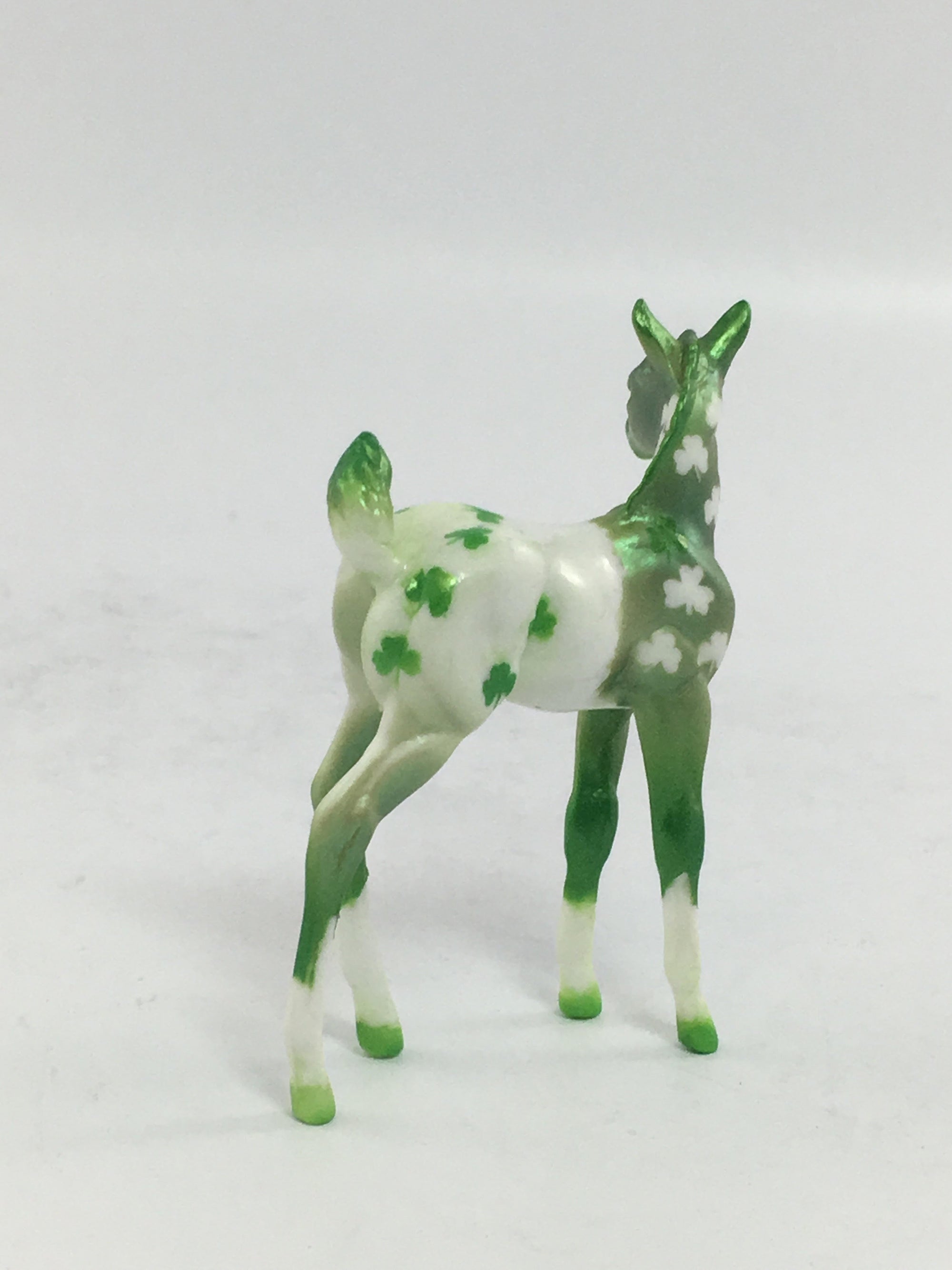 LIMERICK FOAL CHIP 2/8/18