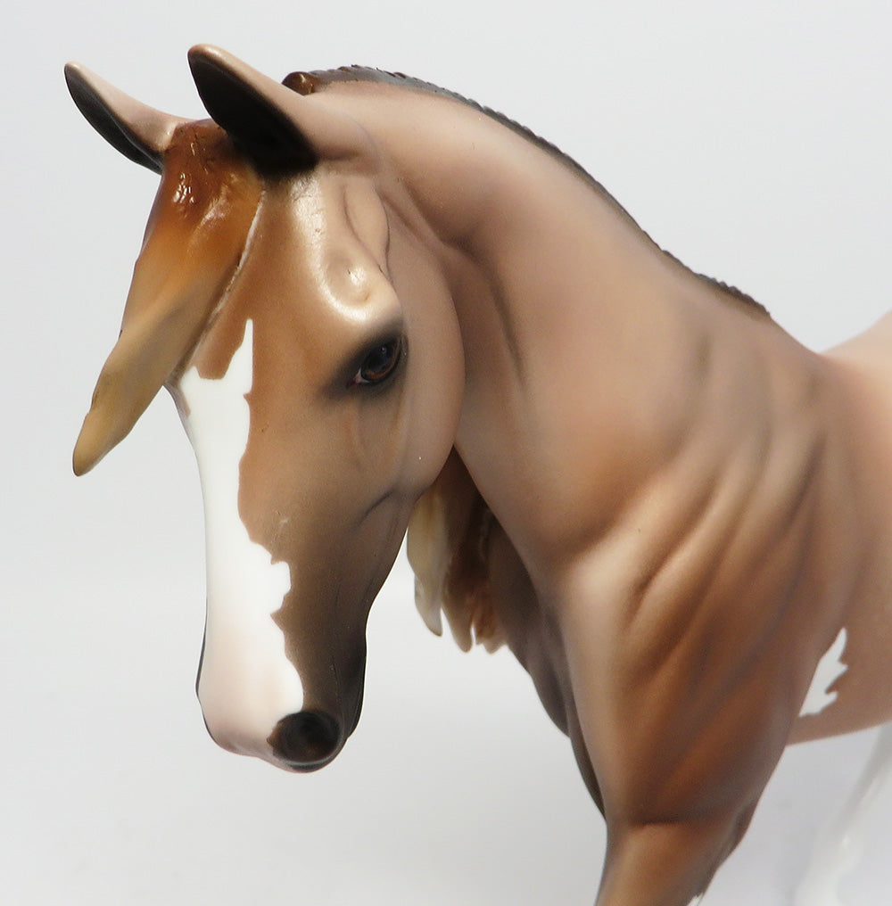 LINCOLN-OOAK DAPPLE CHESTNUT PINTO PONY EQ2017