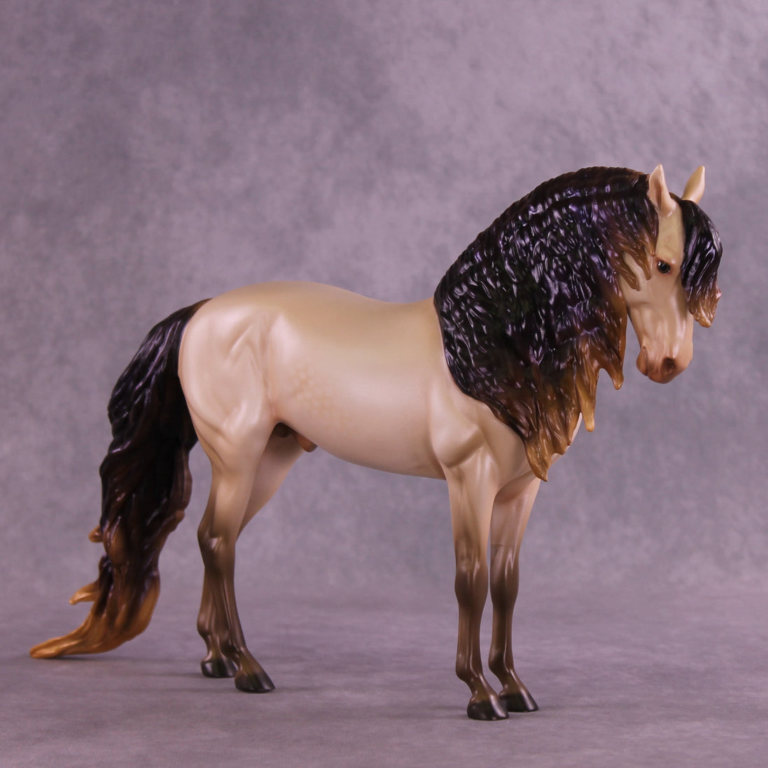 Lionheart OOAK FCM Andalusian by Ellen Robbins HS25