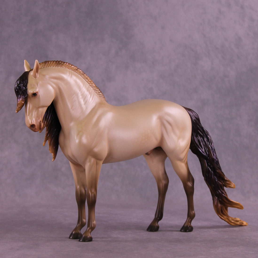 Lionheart OOAK FCM Andalusian by Ellen Robbins HS25