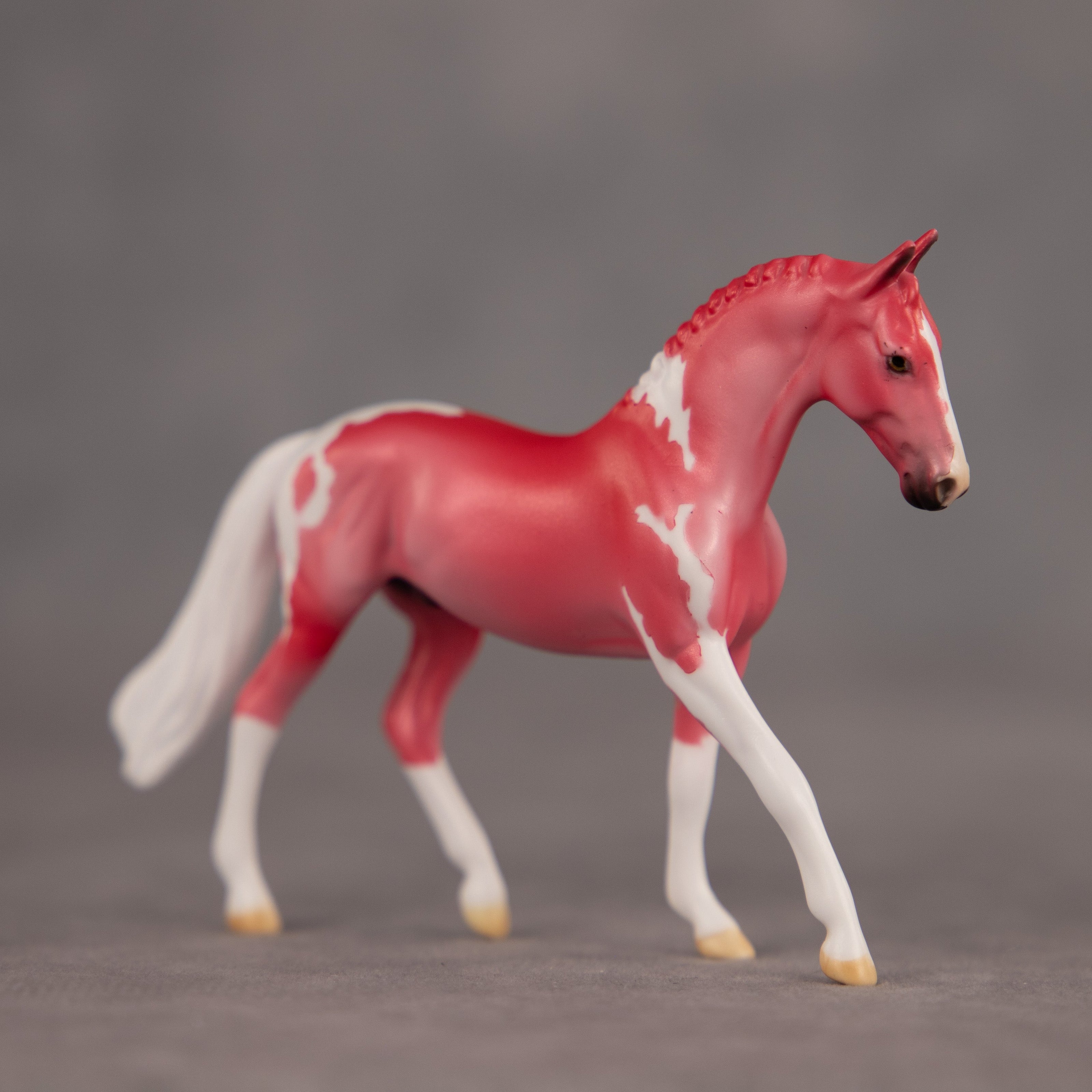 Lipstick OOAK Chip Warmblood by Dawn Quick EQ26