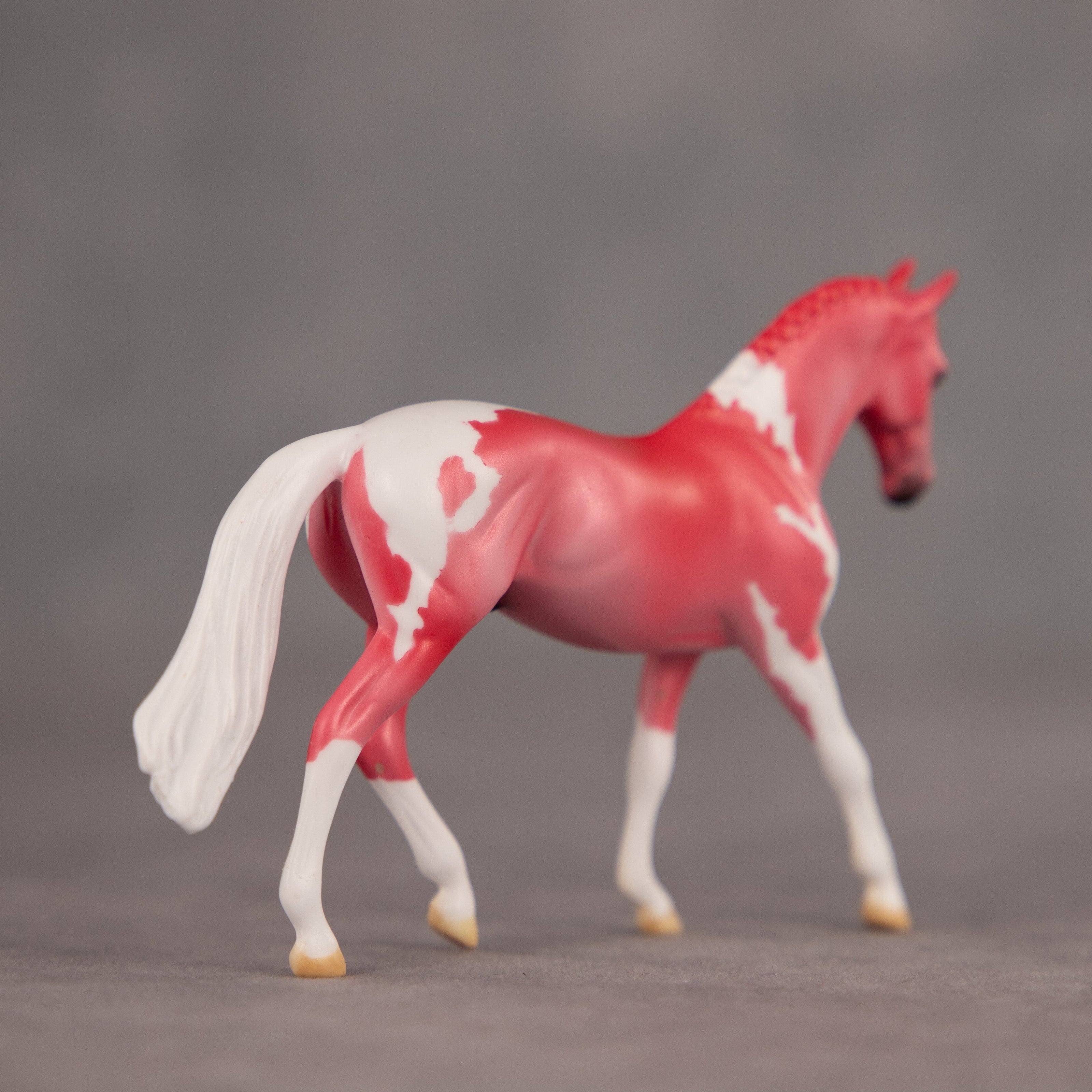 Lipstick OOAK Chip Warmblood by Dawn Quick EQ26