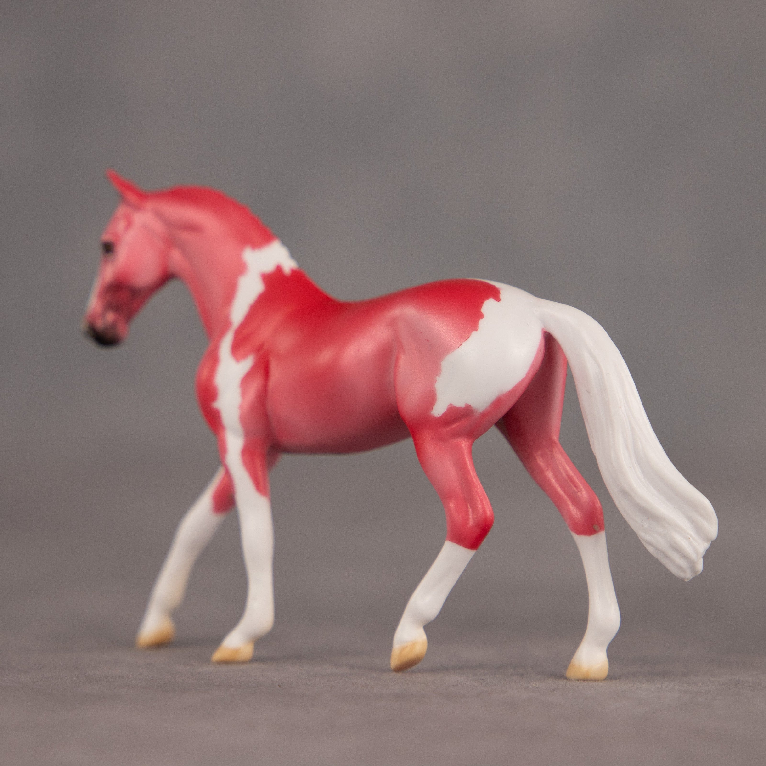 Lipstick OOAK Chip Warmblood by Dawn Quick EQ26
