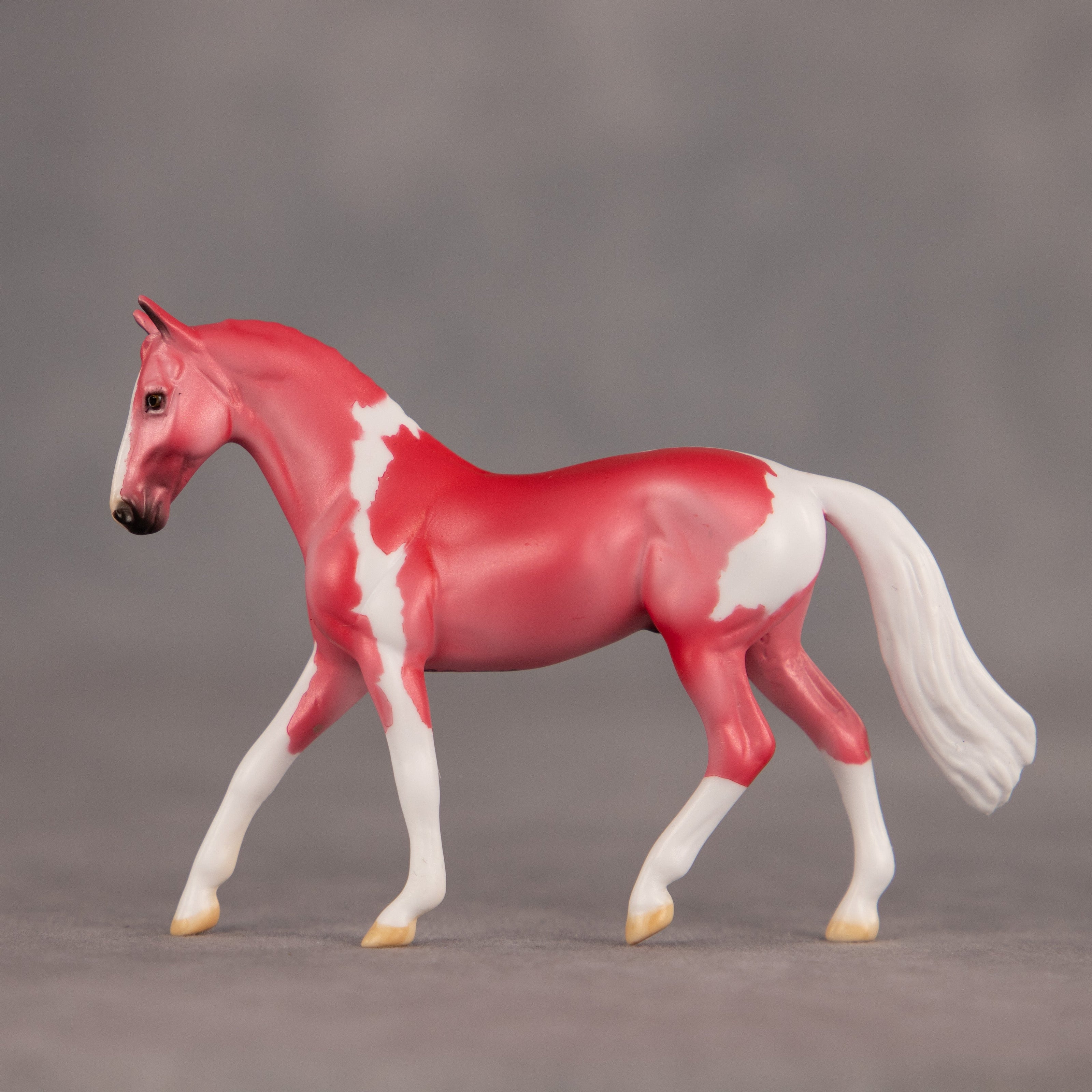 Lipstick OOAK Chip Warmblood by Dawn Quick EQ26