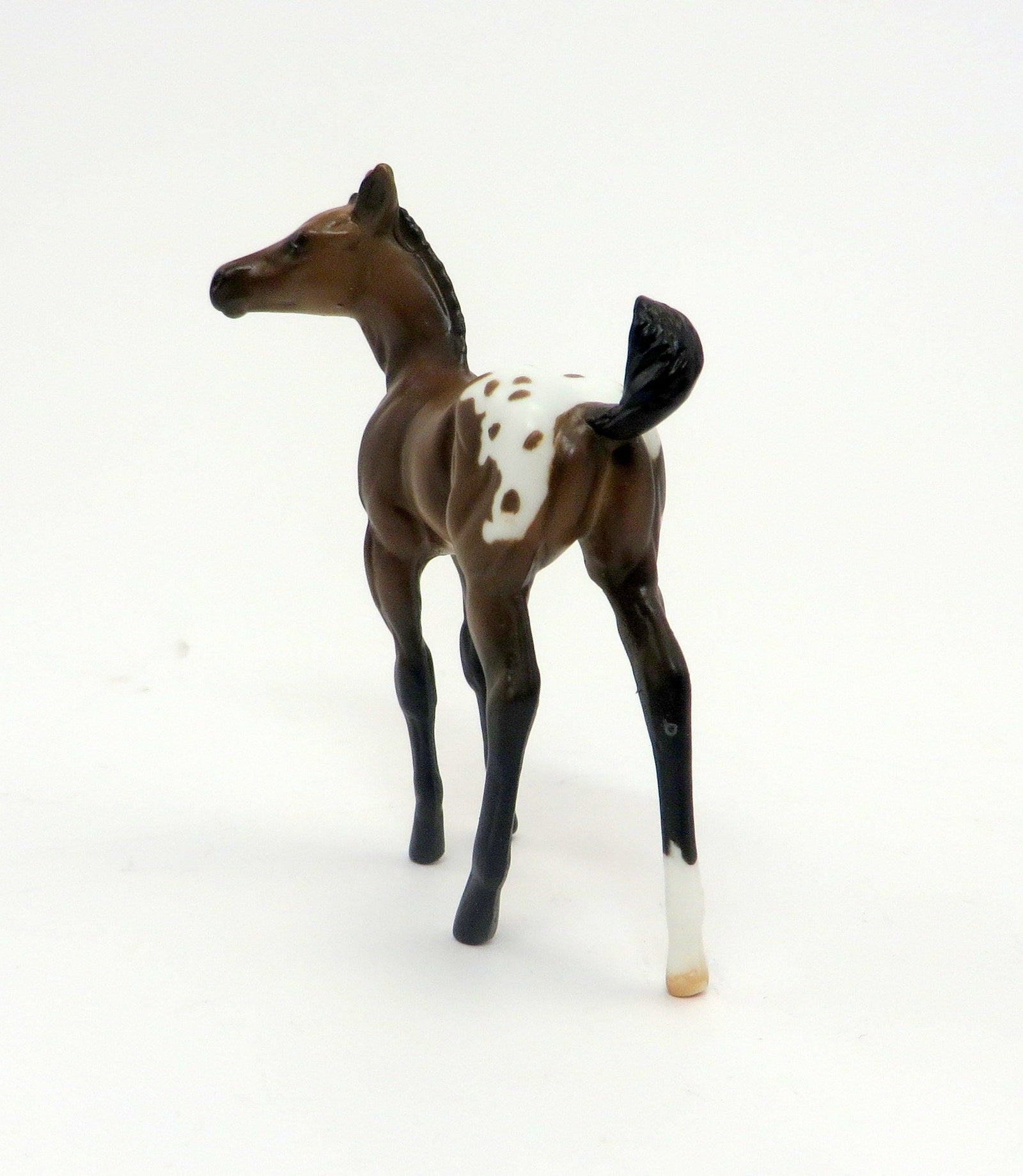 APPLE JAX-LE-5 Buckskin Blanket Appaloosa Foal