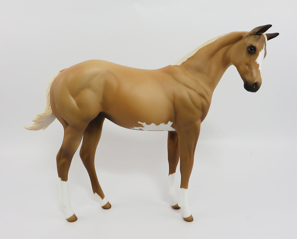 Little Ripper~palomino pinto weanling