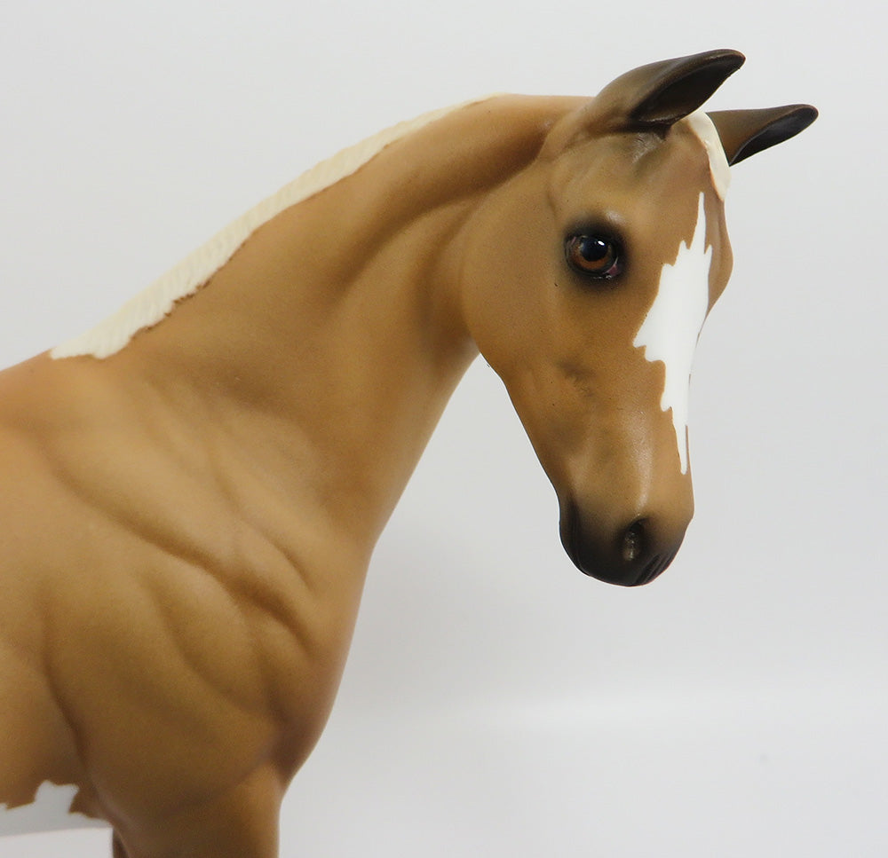 Little Ripper~palomino pinto weanling