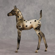 Little Lady OOAK Arabian Foal by Julie Keim VV26