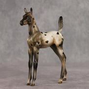 Little Lady OOAK Arabian Foal by Julie Keim VV26