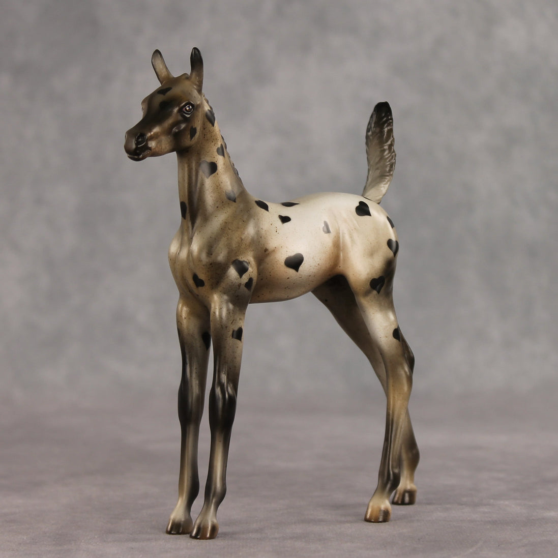 Little Lady OOAK Arabian Foal by Julie Keim VV26