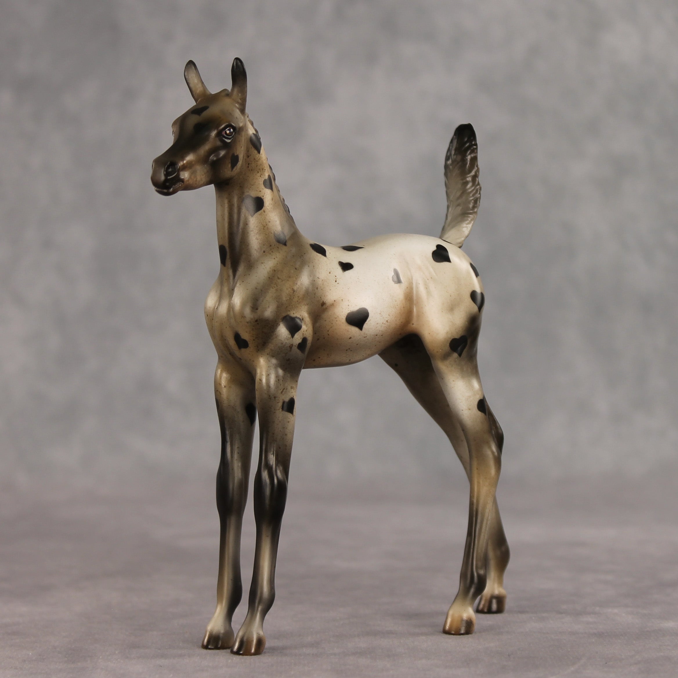 Little Lady OOAK Arabian Foal by Julie Keim VV26
