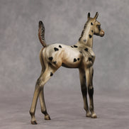 Little Lady OOAK Arabian Foal by Julie Keim VV26