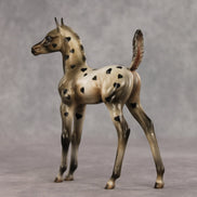 Little Lady OOAK Arabian Foal by Julie Keim VV26