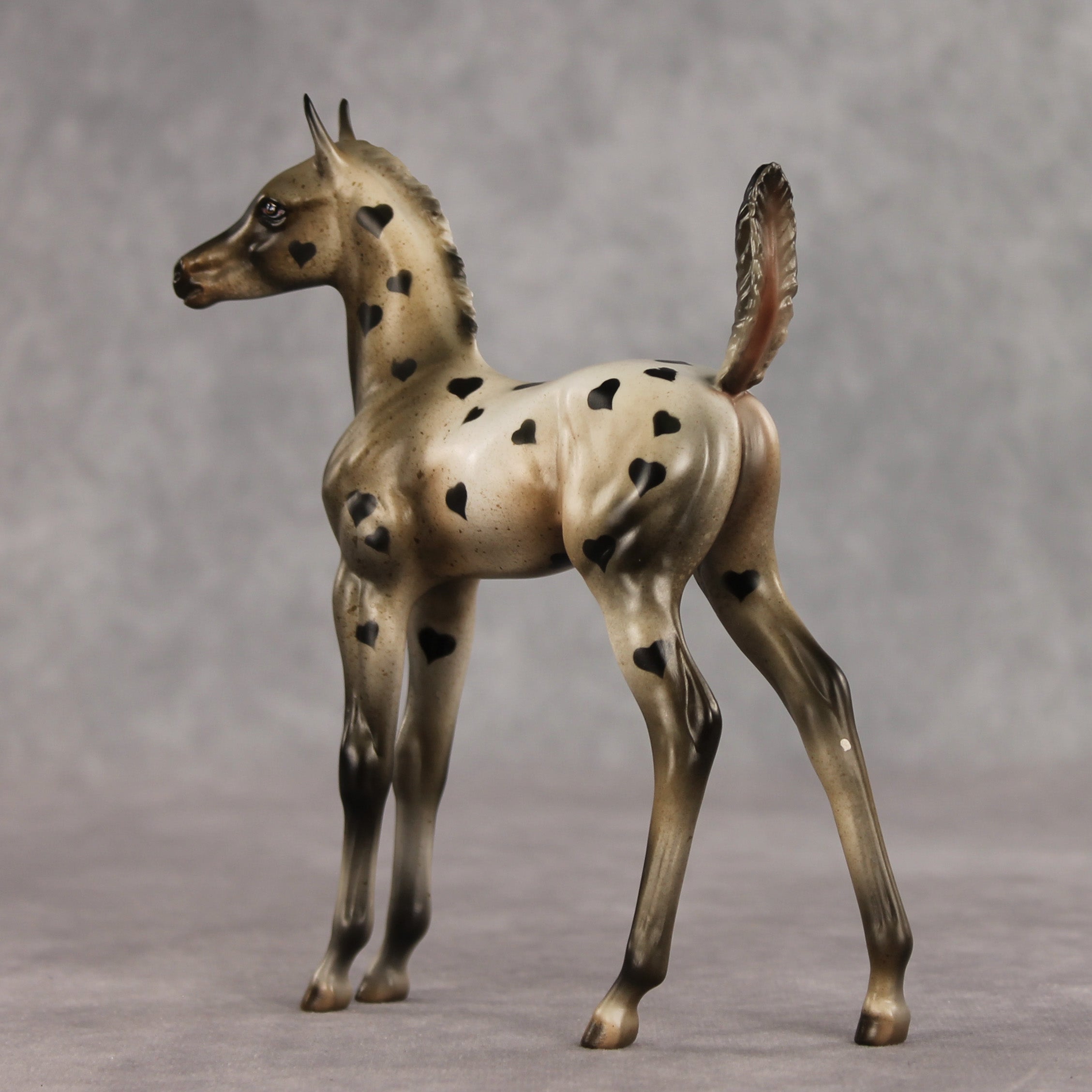 Little Lady OOAK Arabian Foal by Julie Keim VV26