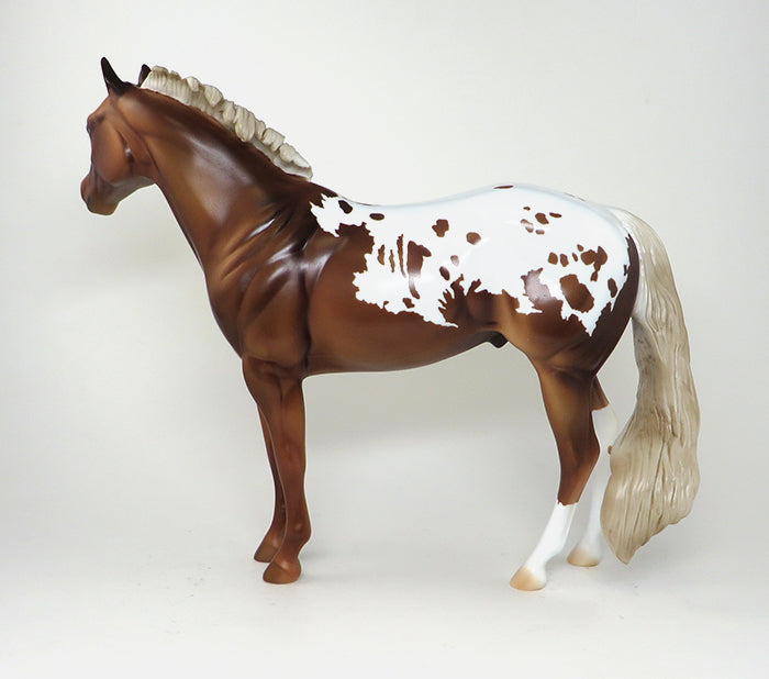 CHESTNUT APPALOOSA ISH