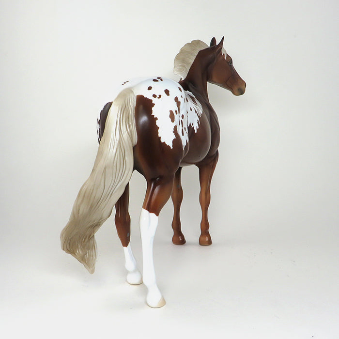 LIGHT CHESTNUT APPALOOSA