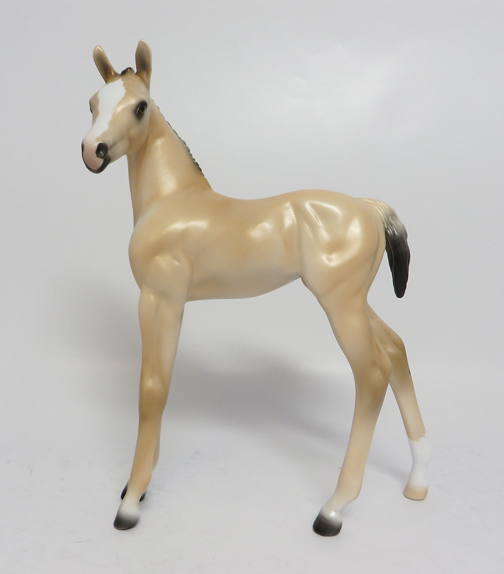 LOLLY-LE-10 LIGHT BUCKSKIN CUSTOM FOAL WHS 2017