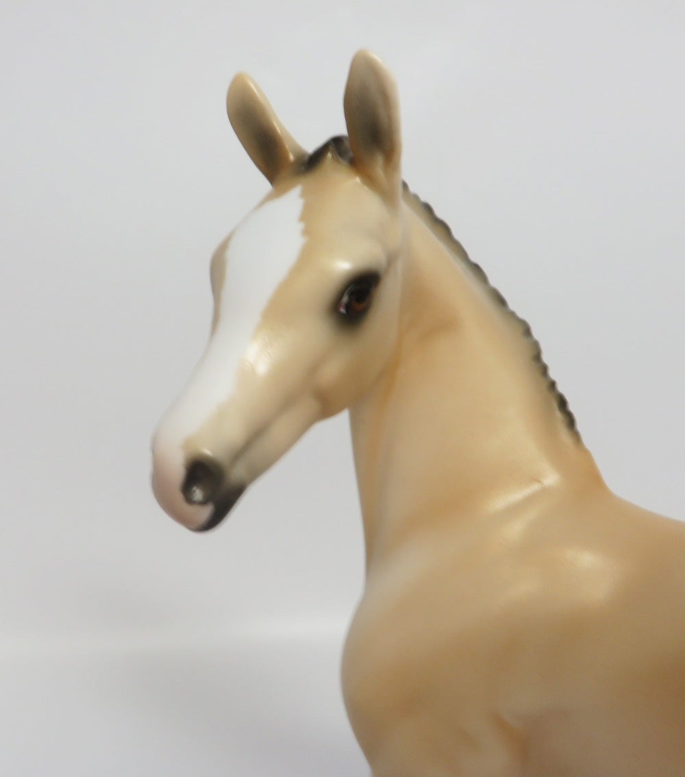 LOLLY-LE-10 LIGHT BUCKSKIN CUSTOM FOAL WHS 2017