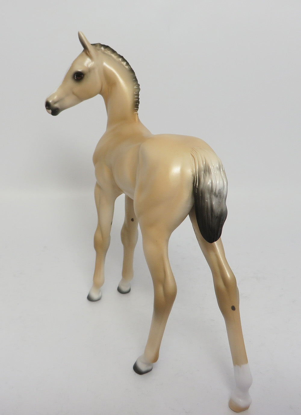 LOLLY-LE-10 LIGHT BUCKSKIN CUSTOM FOAL WHS 2017