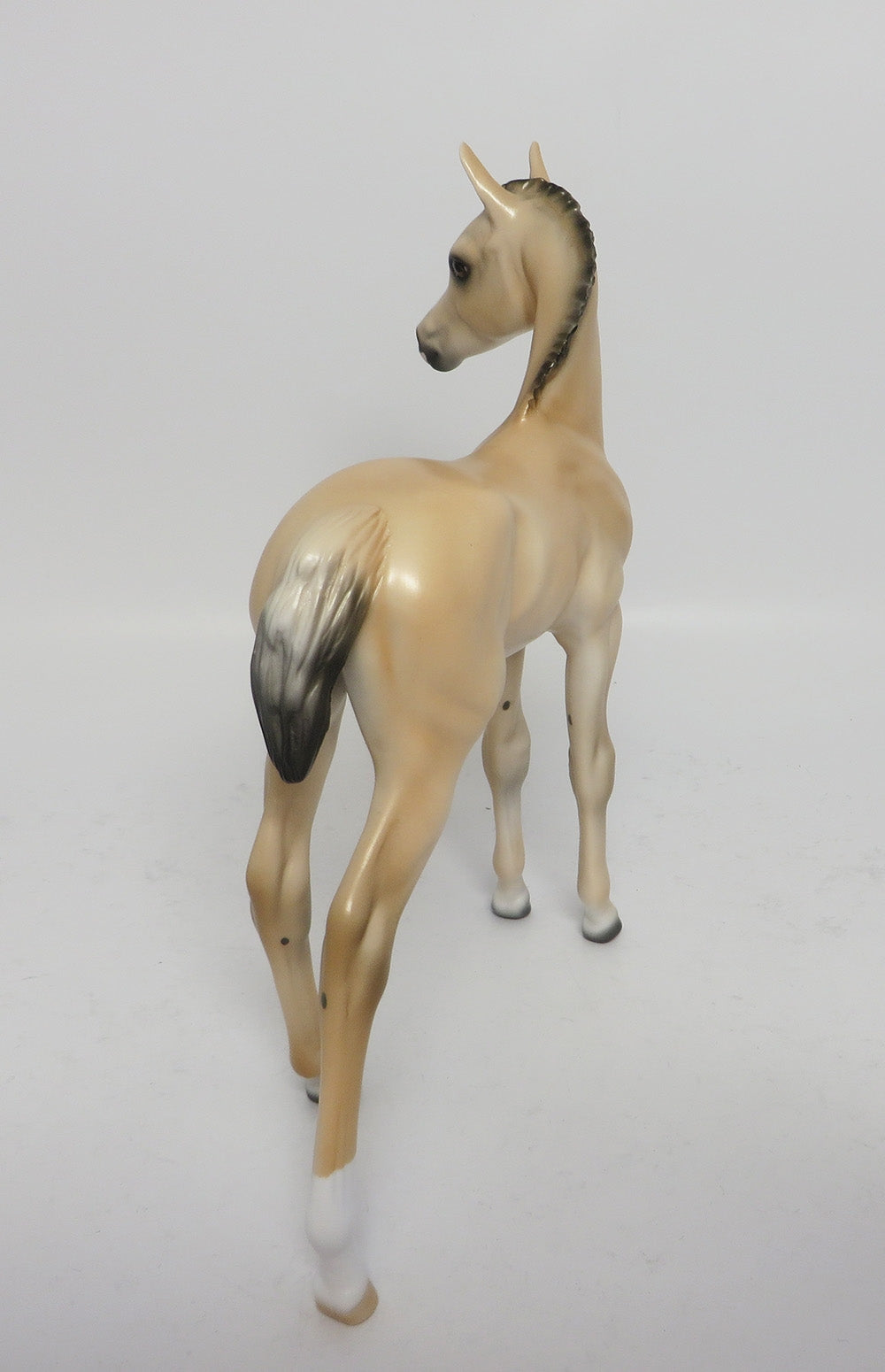 LOLLY-LE-10 LIGHT BUCKSKIN CUSTOM FOAL WHS 2017