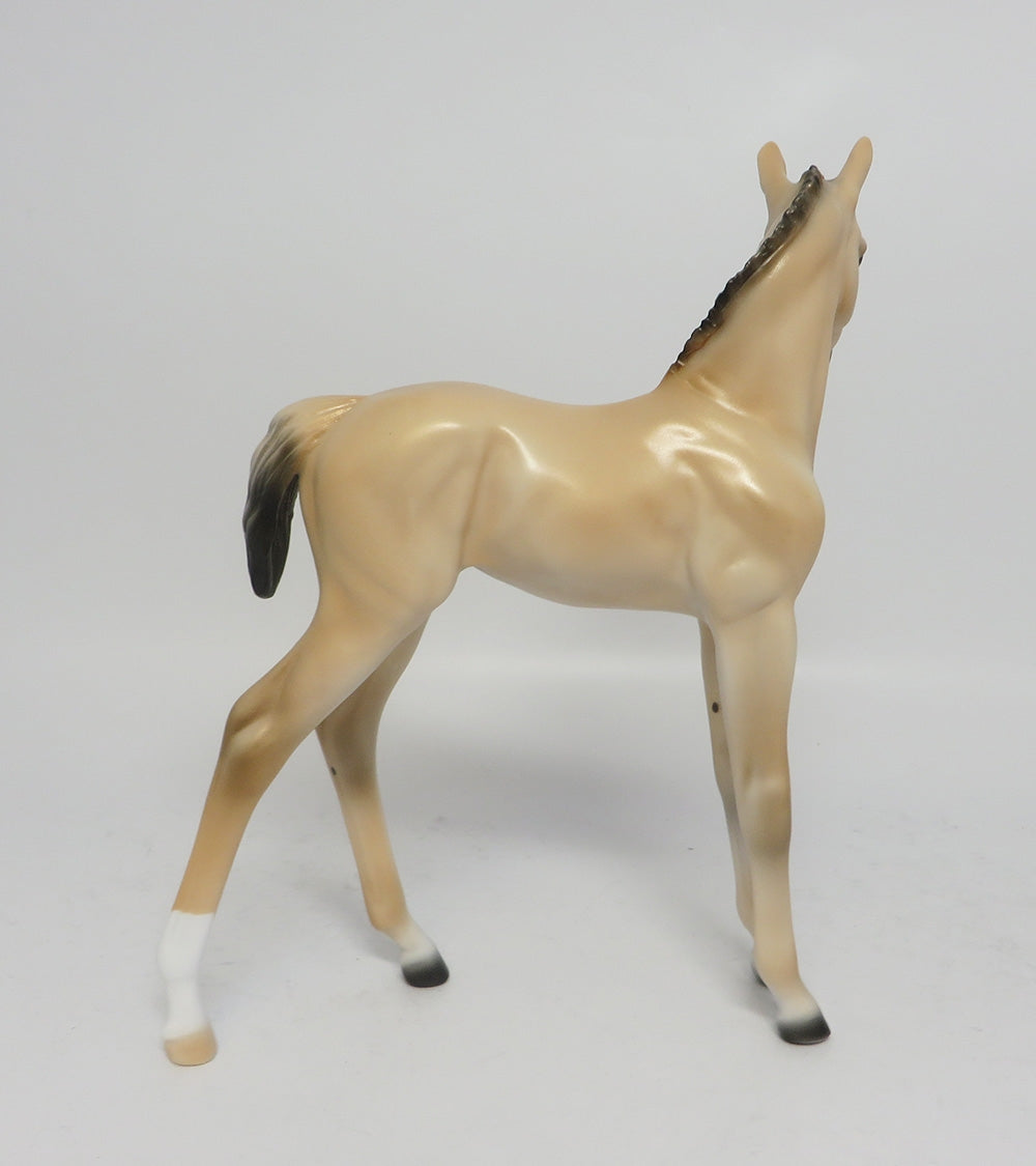 LOLLY-LE-10 LIGHT BUCKSKIN CUSTOM FOAL WHS 2017