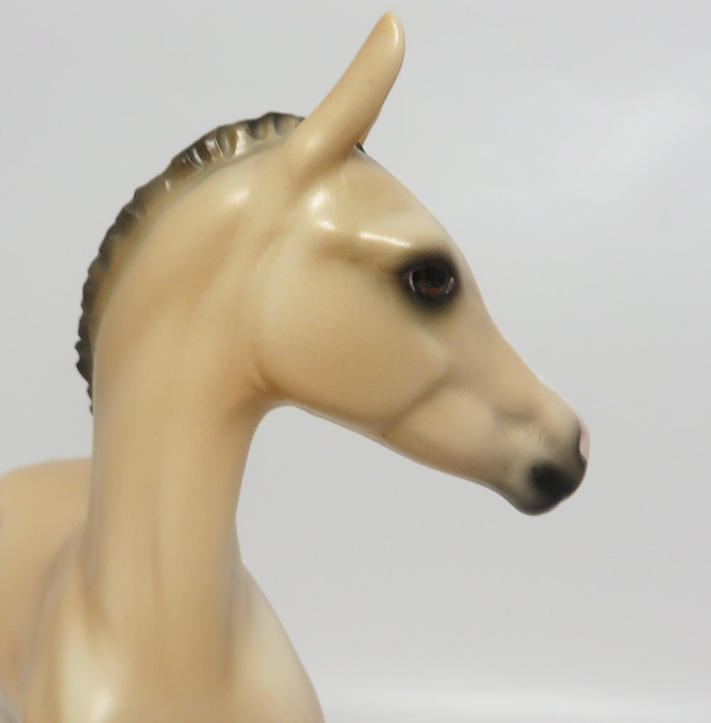 LOLLY-LE-10 LIGHT BUCKSKIN CUSTOM FOAL WHS 2017