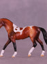 Lonely Heart OOAK Chip Warmblood by Anna Rieck VV26