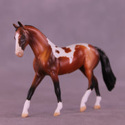 Lonely Heart OOAK Chip Warmblood by Anna Rieck VV26