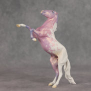 Look of Love OOAK Pebble Mustang by Jess Hamill VV26