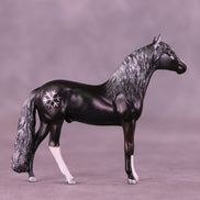 Lost in the Snow OOAK Chip Andalusian by Anna Rieck HS25