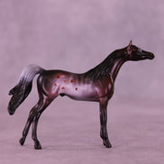 Lovebug OOAK Chip Arabian by Anna Rieck VV26