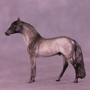 Loverboy OOAK Chip Andalusian by Anna Rieck VV26