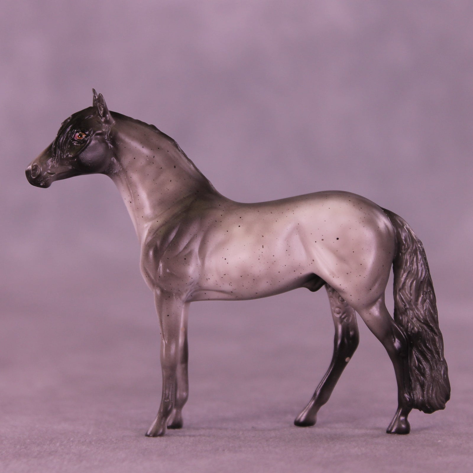 Loverboy OOAK Chip Andalusian by Anna Rieck VV26