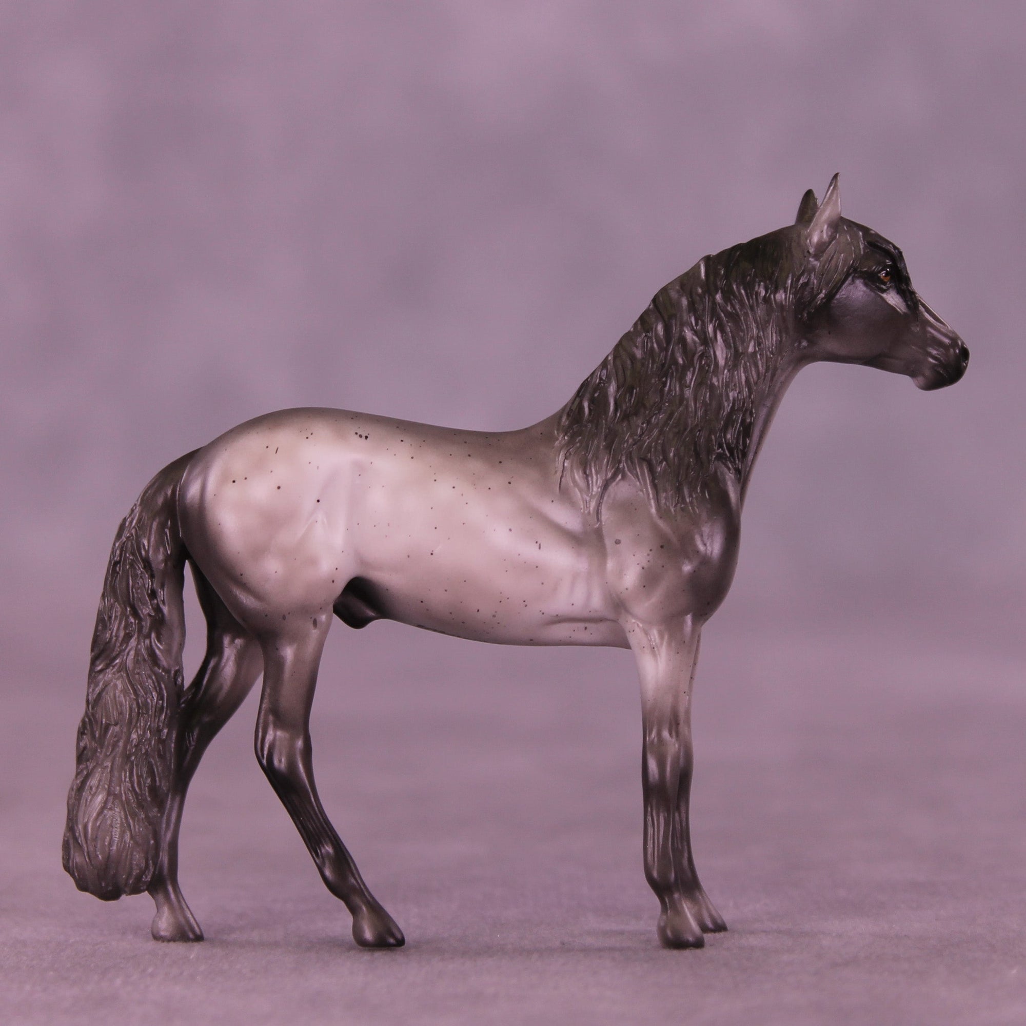 Loverboy OOAK Chip Andalusian by Anna Rieck VV26