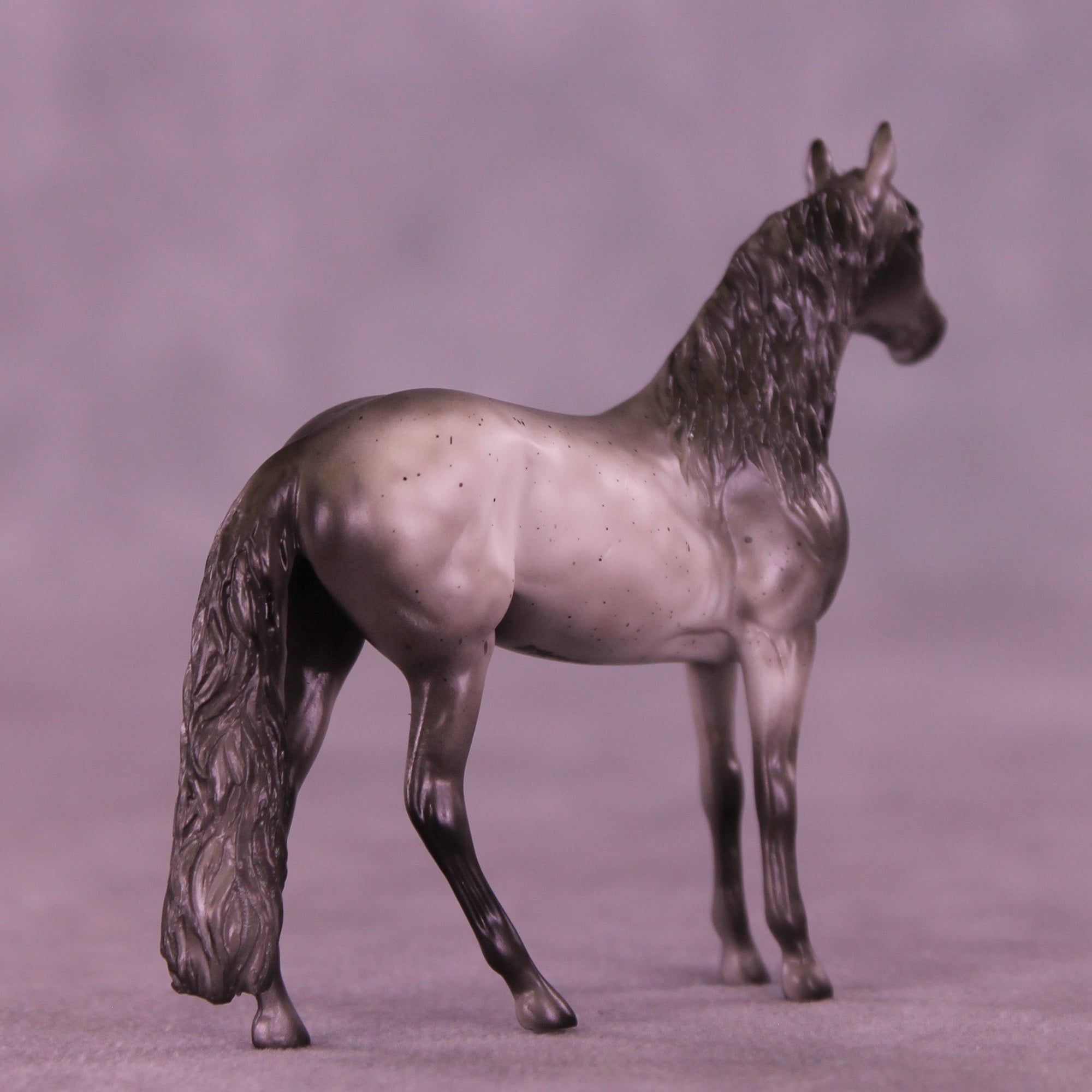 Loverboy OOAK Chip Andalusian by Anna Rieck VV26