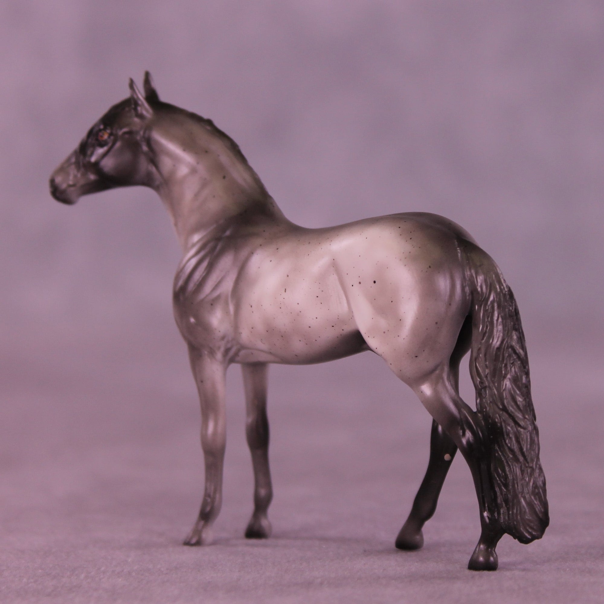 Loverboy OOAK Chip Andalusian by Anna Rieck VV26