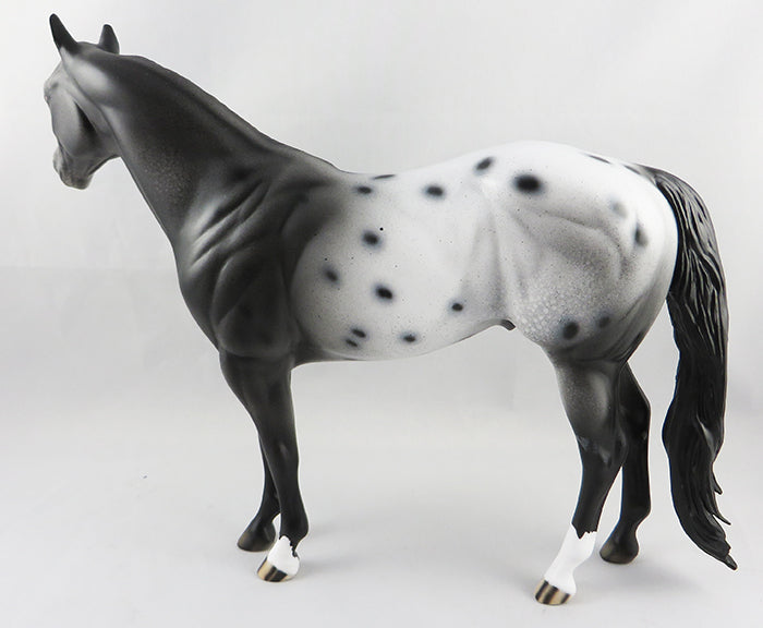 Appaloosa