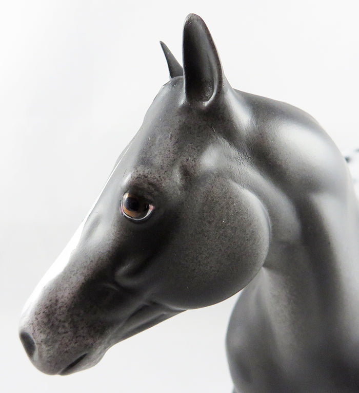 FLIGHT BENEIFITS- OOAK BLACK AND GREY APPALOOSA ISH MODEL HORSE EQ 2016