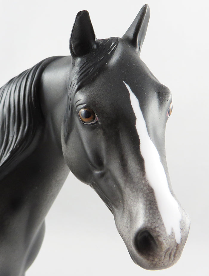 FLIGHT BENEIFITS- OOAK BLACK AND GREY APPALOOSA ISH MODEL HORSE EQ 2016
