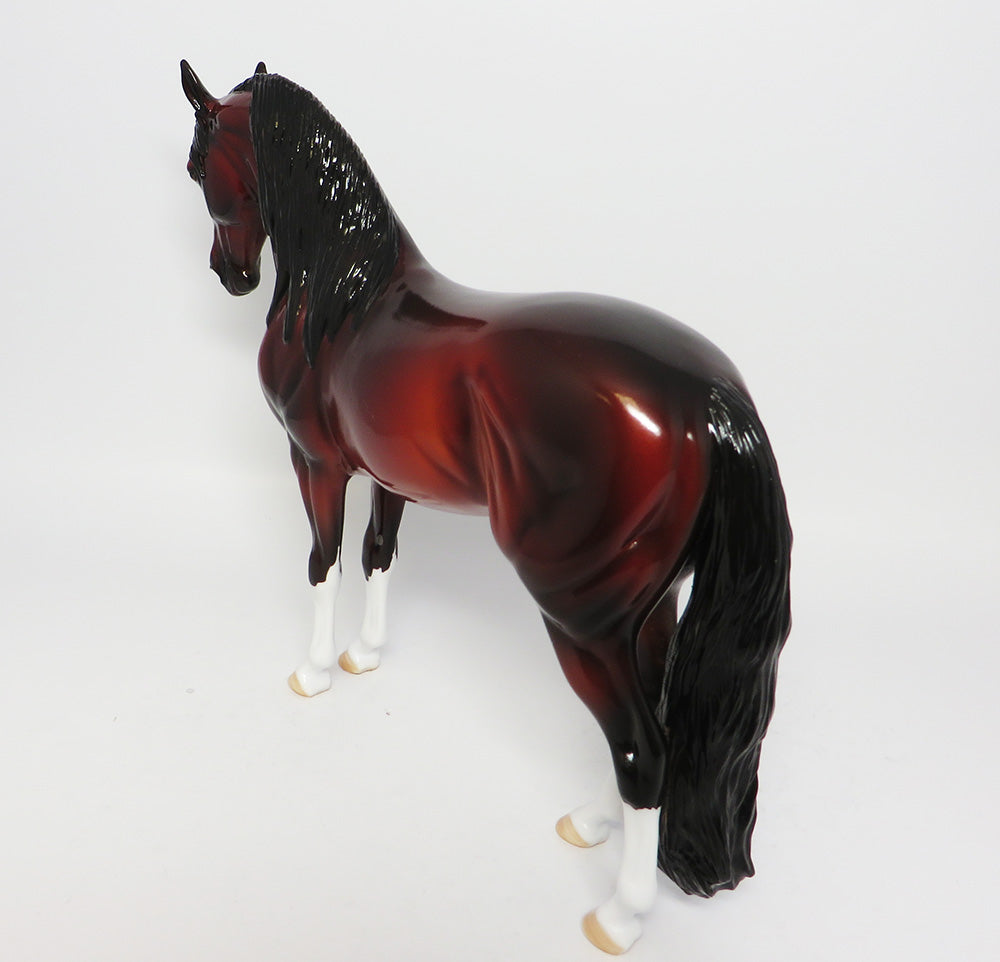 LUCKY LUCIANO~OOAK BAY ANDALUSIAN BY DAWN QUICK EQ 2017