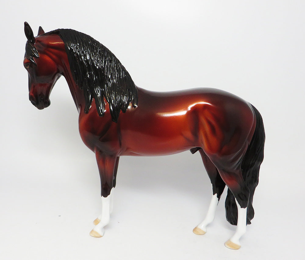 LUCKY LUCIANO~OOAK BAY ANDALUSIAN BY DAWN QUICK EQ 2017