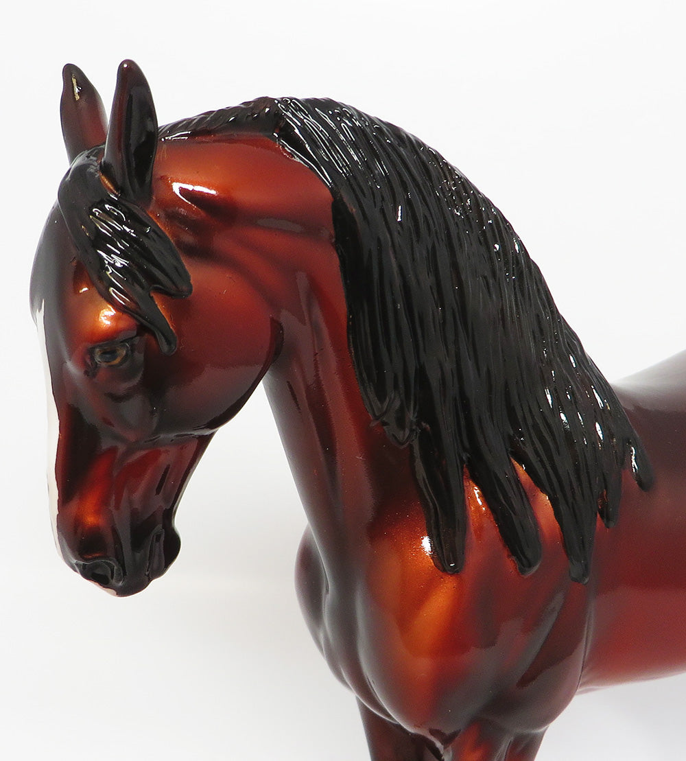 LUCKY LUCIANO~OOAK BAY ANDALUSIAN BY DAWN QUICK EQ 2017