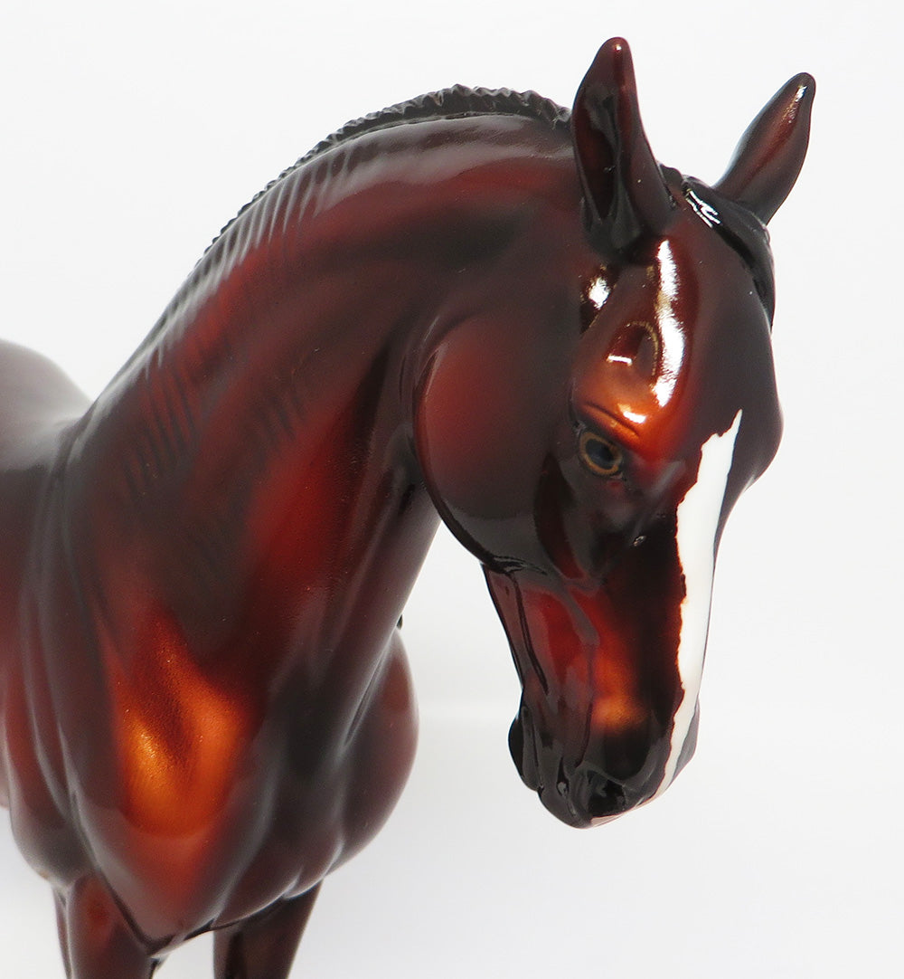 LUCKY LUCIANO~OOAK BAY ANDALUSIAN BY DAWN QUICK EQ 2017