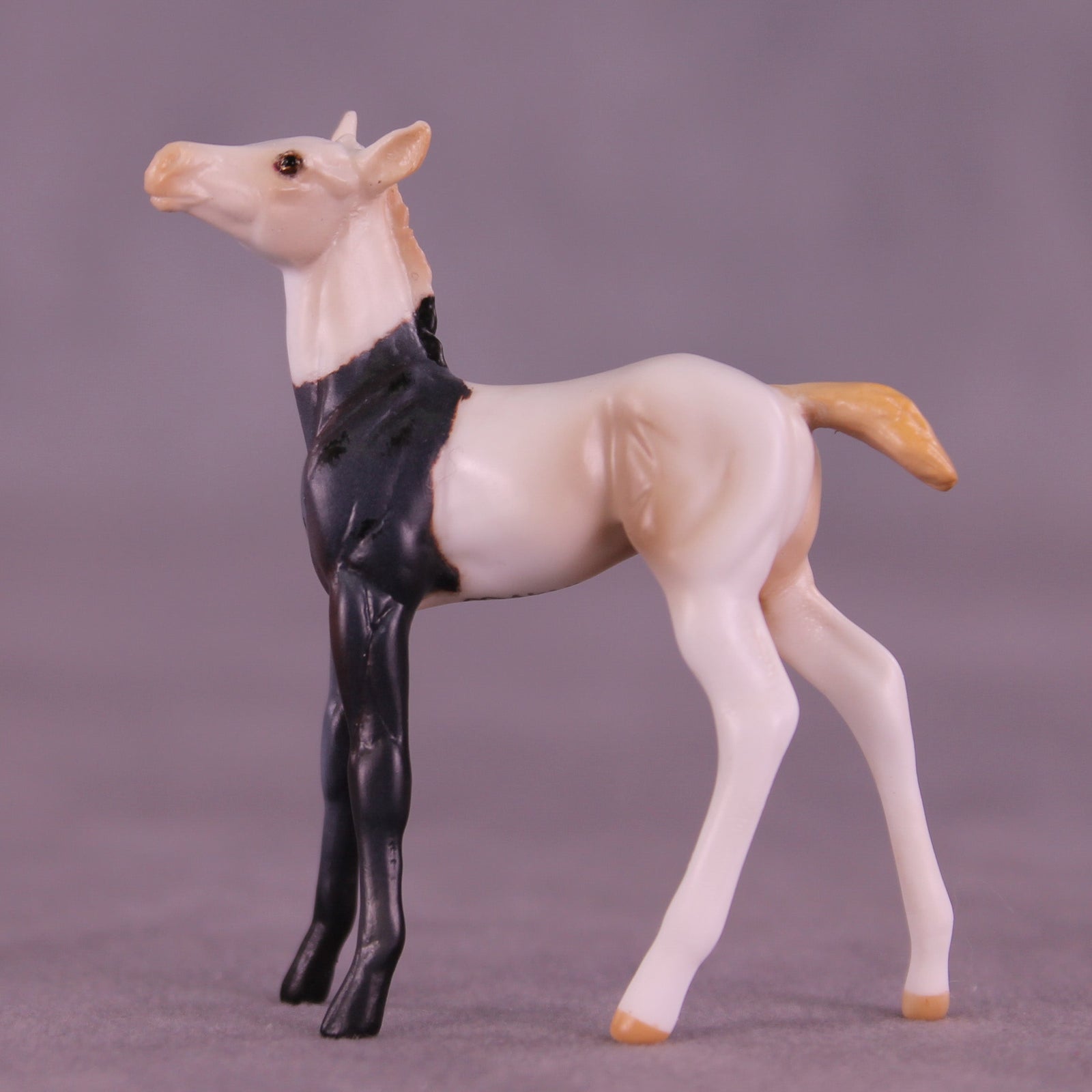 Luigi OOAK Chip Foal by Anna Rieck HS25