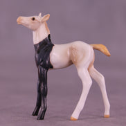 Luigi OOAK Chip Foal by Anna Rieck HS25