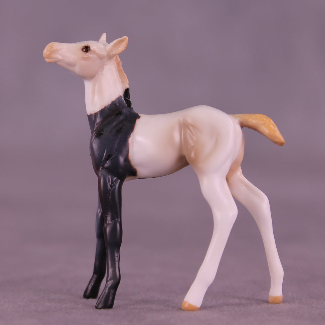 Luigi OOAK Chip Foal by Anna Rieck HS25