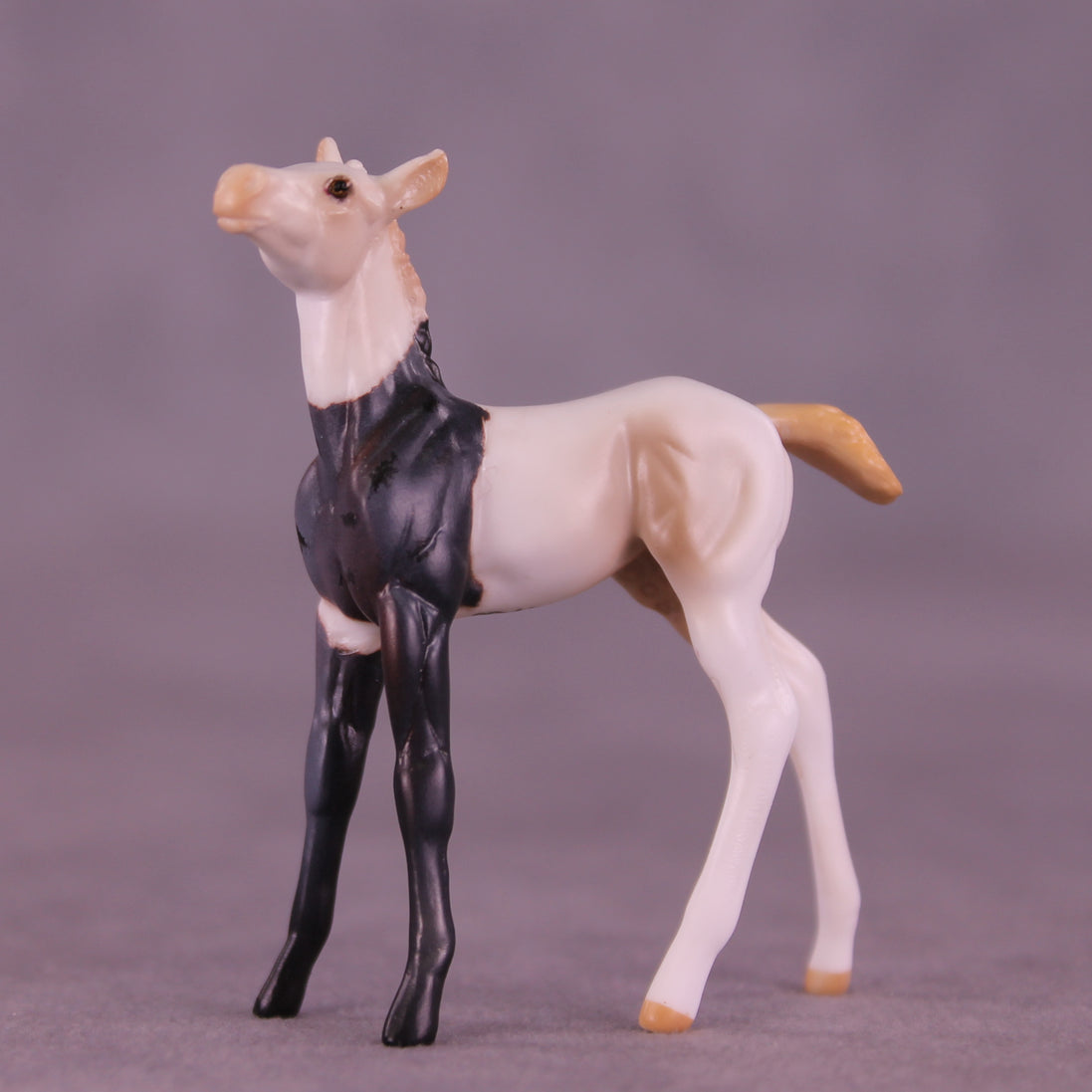 Luigi OOAK Chip Foal by Anna Rieck HS25