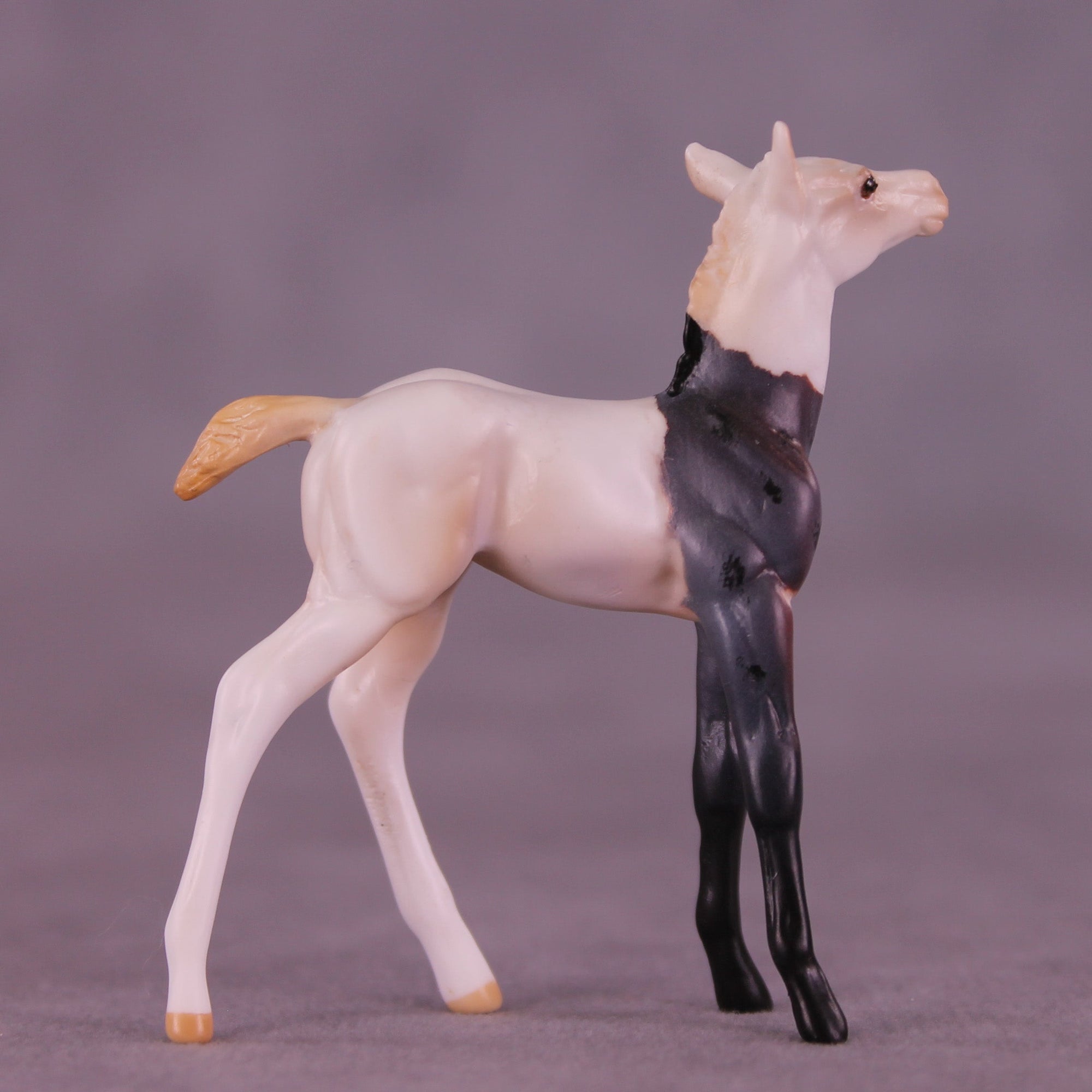 Luigi OOAK Chip Foal by Anna Rieck HS25