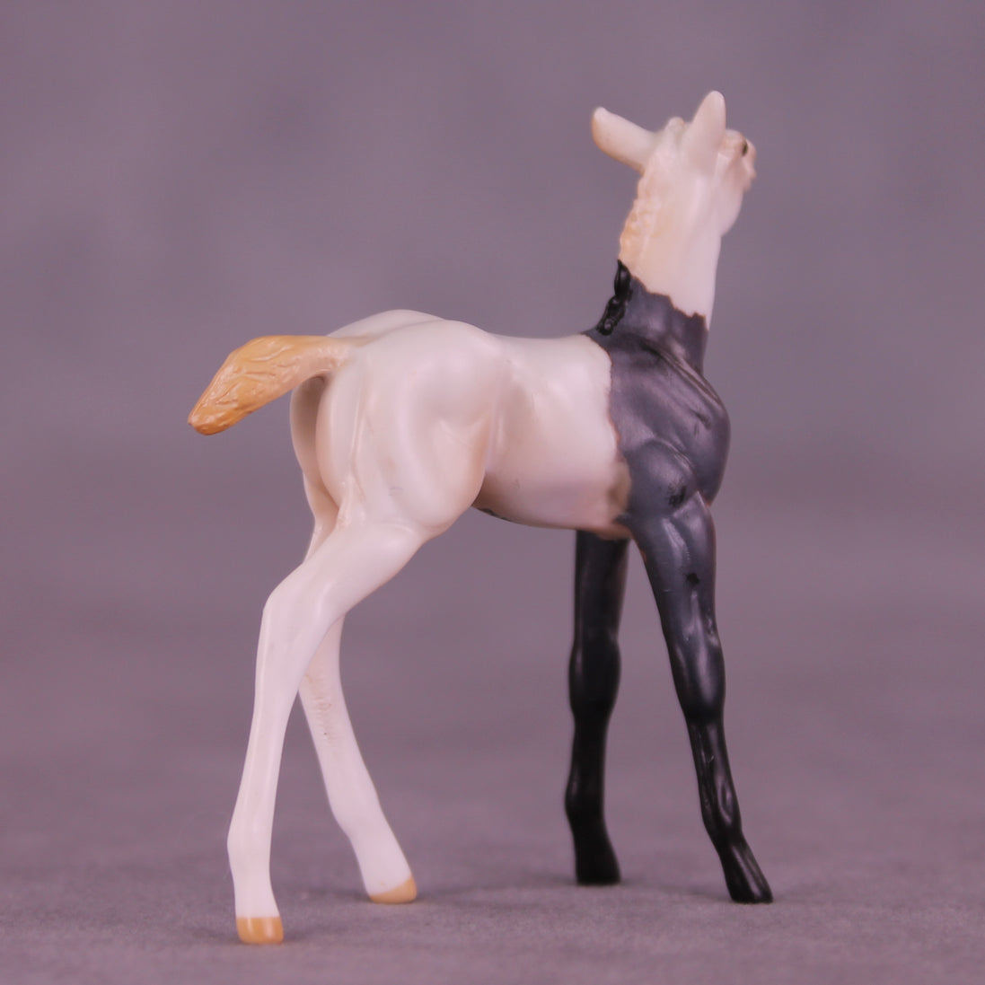 Luigi OOAK Chip Foal by Anna Rieck HS25